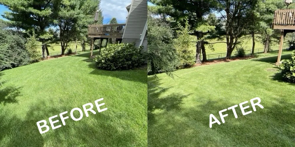 Before and after photos showing the lawn before and after mowing